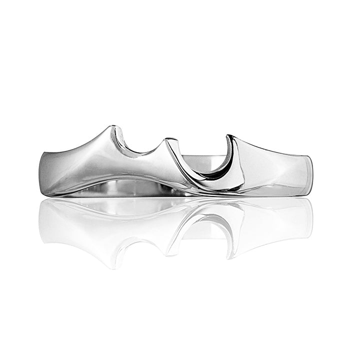 Celebration Platinum Wedding Ring