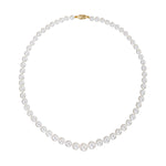Windsor Graduated Freshwater Pearl Necklace